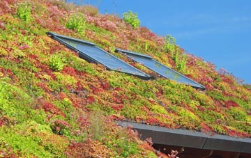 Lovaton living roof systems